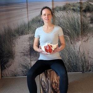 Beckenbodentraining in Winsen/Luhe