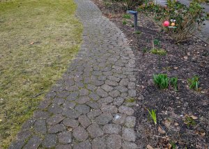 Gesundheit im Alltag – kleine Schritte für mehr Wohlbefinden