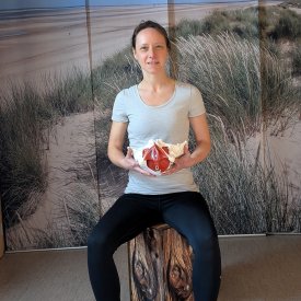 Beckenbodentraining in Winsen/Luhe