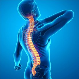 Rückenschule_Kursbild